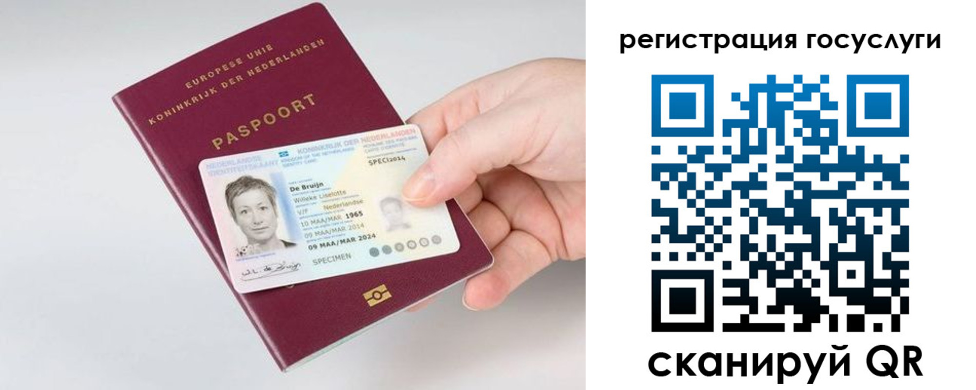 регистрация для дет. сада в Мурманске